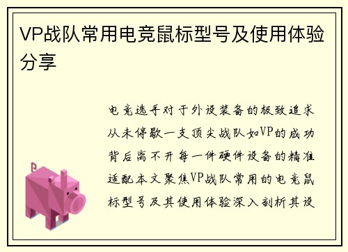 VP战队常用电竞鼠标型号及使用体验分享