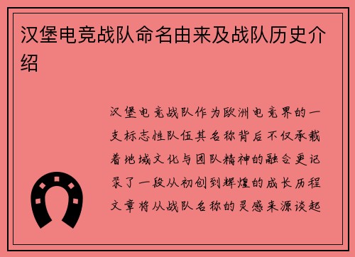 汉堡电竞战队命名由来及战队历史介绍